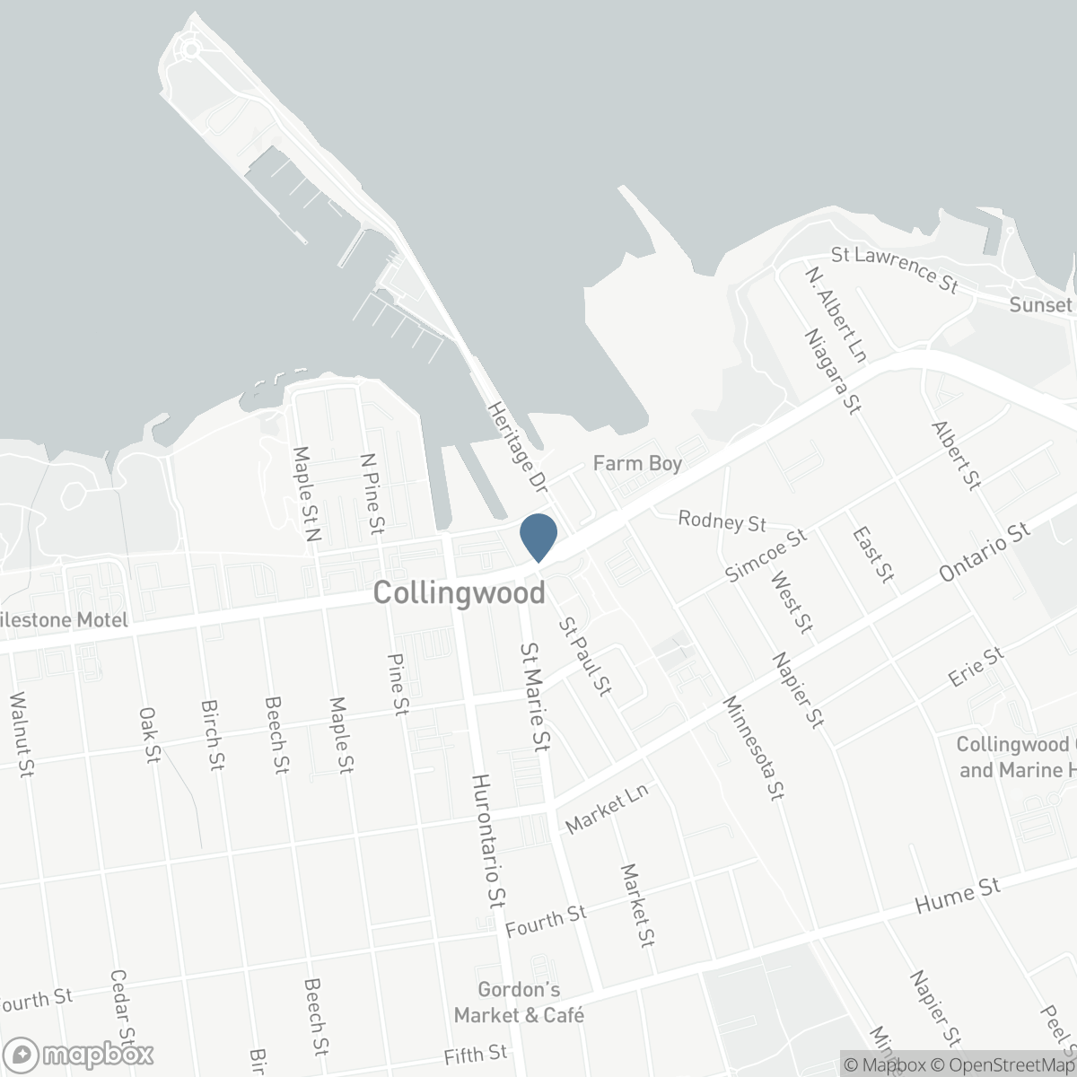 224 - 31 HURON STREET, Collingwood, Ontario L9Y 5T7